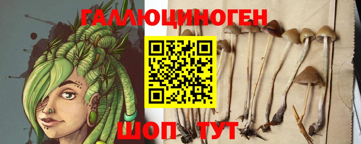 Амурск  Галлюциногенные грибы мицелий  Вход с VPN 